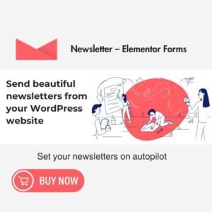 Newsletter – Elementor Forms Plugin